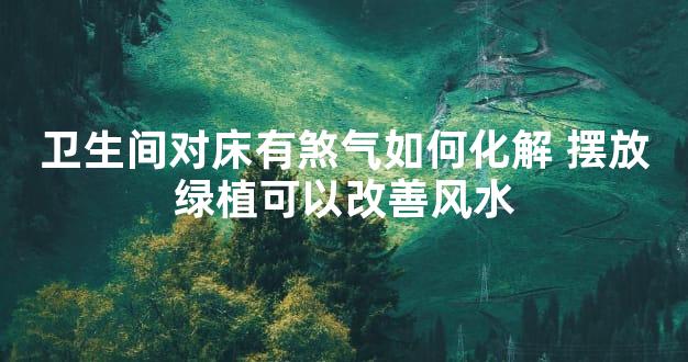 卫生间对床有煞气如何化解 摆放绿植可以改善风水