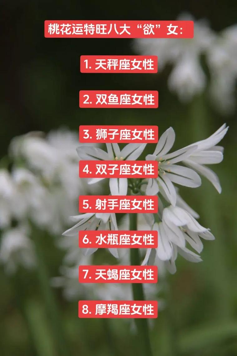 <font color='red'>增强</font>桃花运的星座女生 12星座的桃花运最好
