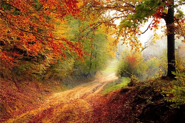 梦见秋季 周公解梦梦到秋季是什么意思 做梦梦见秋季好不好