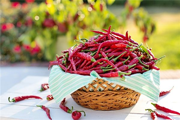 梦见摘<font color='red'>辣椒</font> 周公解梦梦到摘<font color='red'>辣椒</font>是什么意思 做梦梦见摘<font color='red'>辣椒</font>好不好