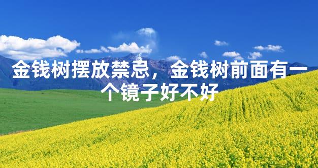 金钱树摆放禁忌，金钱树前面有一个镜子好不好