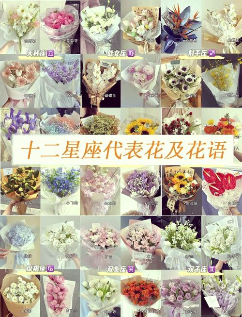 十二星座幸运花朵水瓶 十二星座水瓶少年