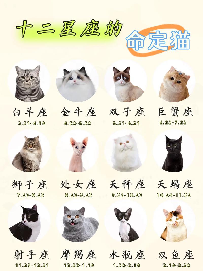 猫咪4月18日是什么星座 1月8号出生的猫什么星座