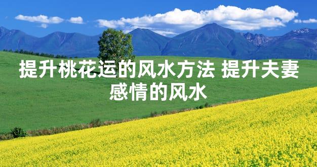 提升桃花运的风水方法 提升夫妻感情的风水