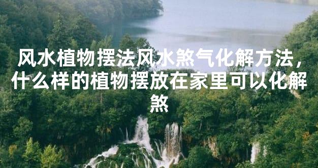 风水植物摆法风水煞气化解方法，什么样的植物摆放在家里可以化解煞