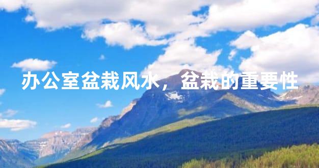 办公室盆栽风水，盆栽的重要性