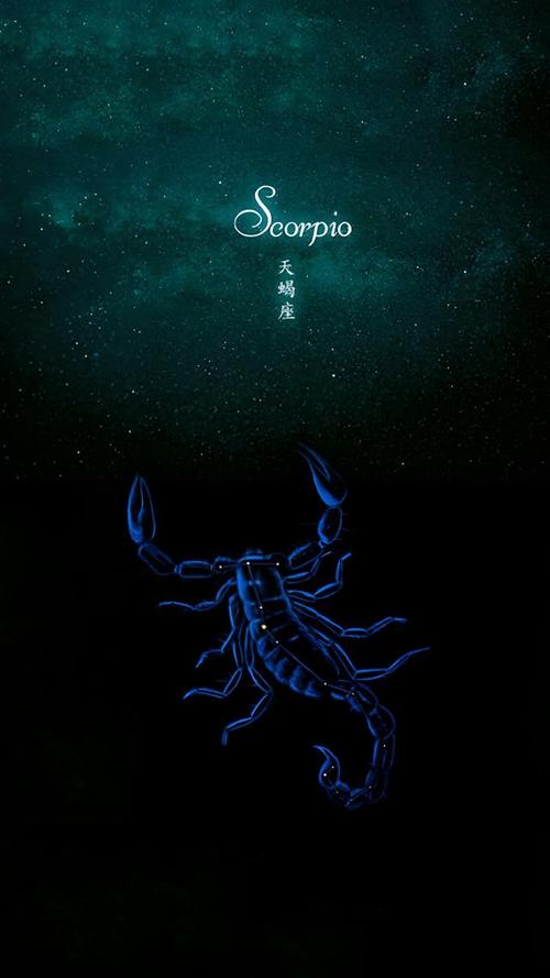 我的星座天蝎座 正版十二星座
