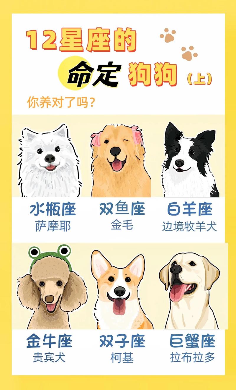 天秤座不喜欢养什么狗男 天秤座适合养植物