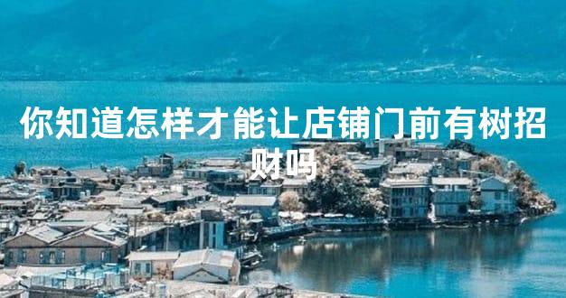 你知道怎样才能让店铺门前有树招财吗