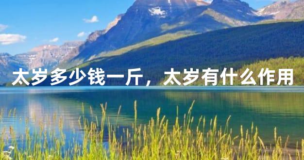 太岁多少钱一斤，太岁有什么作用