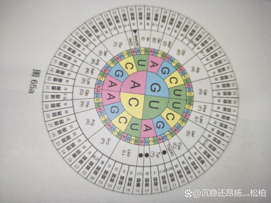 八字打分法是干嘛用的 综合打分法