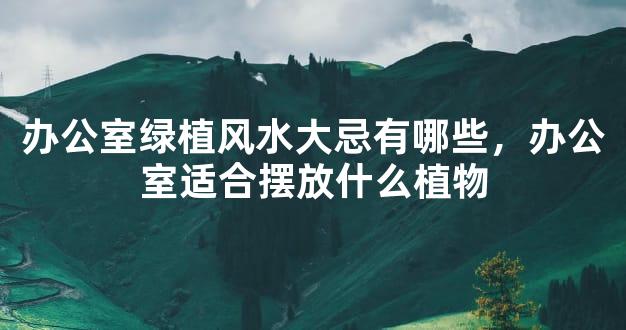 办公室绿植风水大忌有哪些，办公室适合摆放什么植物