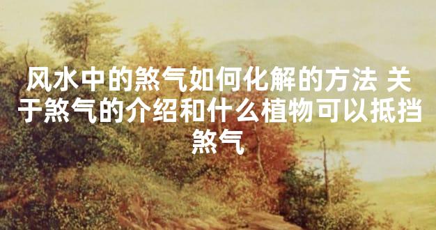 风水中的煞气如何化解的方法 关于煞气的介绍和什么植物可以抵挡煞气