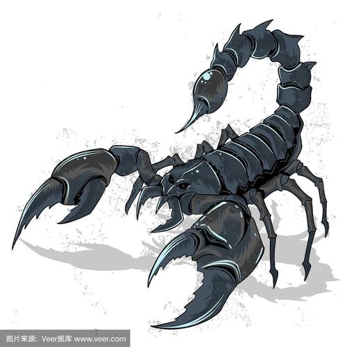 12星座蝎子图片 12星座图片大盘点