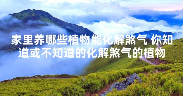 家里养哪些植物能化解煞气 你知道或不知道的化解煞气的植物