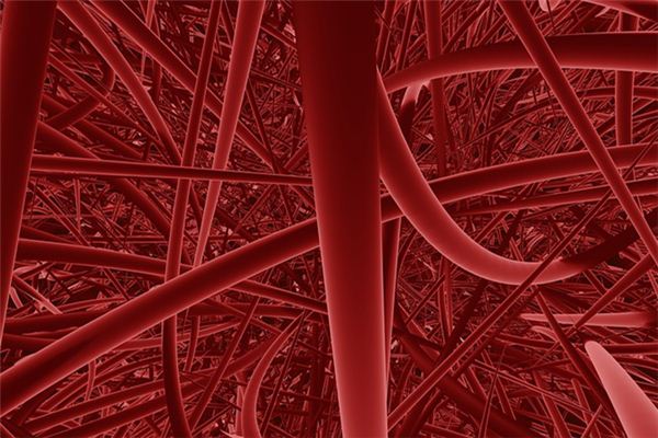 梦见血管 周公解梦梦到血管是什么意思 做梦梦见血管好不好