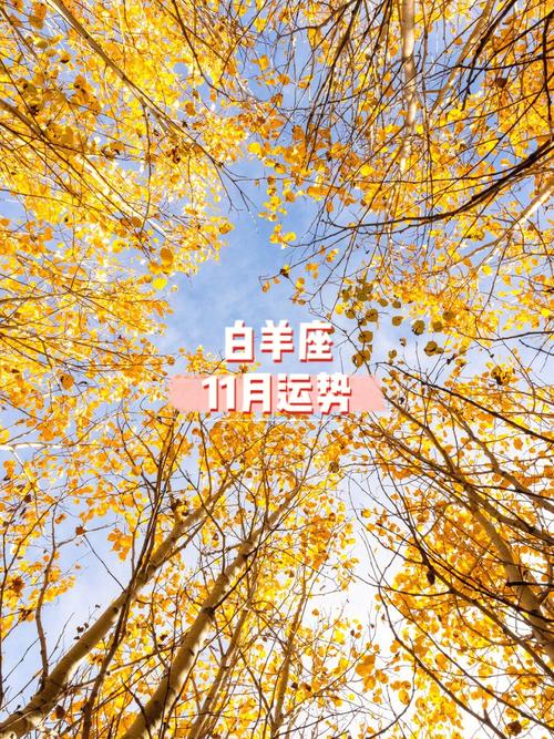 白羊座脱单运势11月11日 白羊座11月12日运势完整版