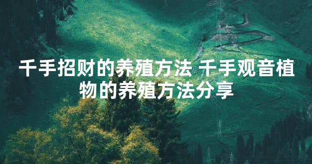 千手招财的养殖方法 千手观音植物的养殖方法分享