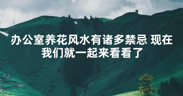 办公室养花风水有诸多禁忌 现在我们就一起来看看了