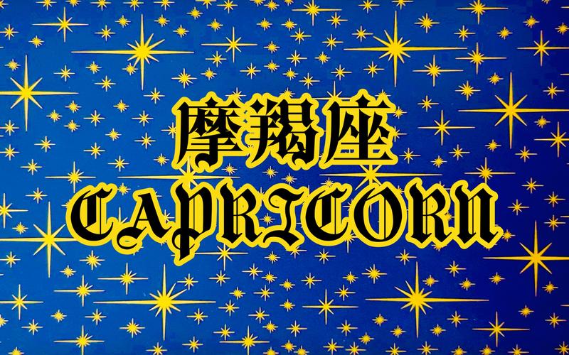 a摩羯座 高级摩羯座