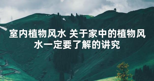 室内植物风水 关于家中的植物风水一定要了解的讲究