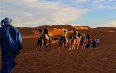 梦见驼子 周公解梦梦到驼子是什么意思 做梦梦见驼子好不好